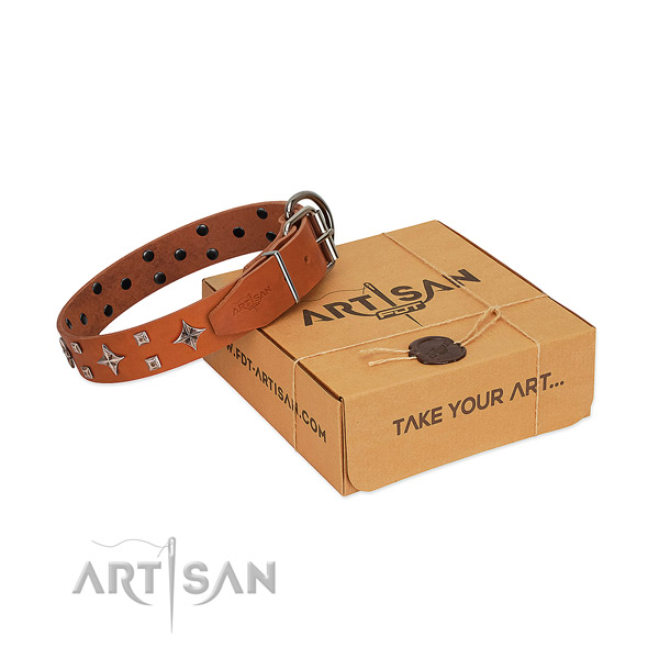 Exquisite leather collar for your canine everyday walking