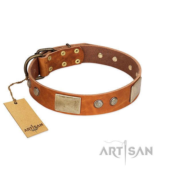 Easy adjustable full grain genuine leather dog collar for stylish walking your pet