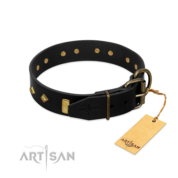Soft genuine leather dog collar with extraordinary embellishments