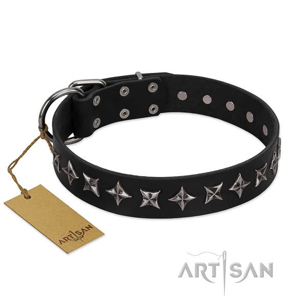 Comfy wearing dog collar of reliable full grain genuine leather with adornments