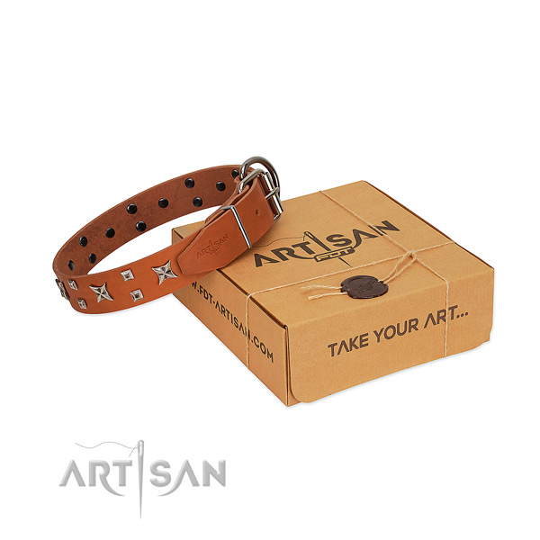 Impressive adorned full grain natural leather dog collar of best quality material