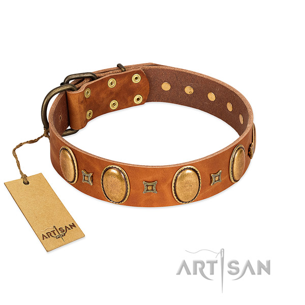 Genuine leather dog collar with extraordinary decorations for everyday walking