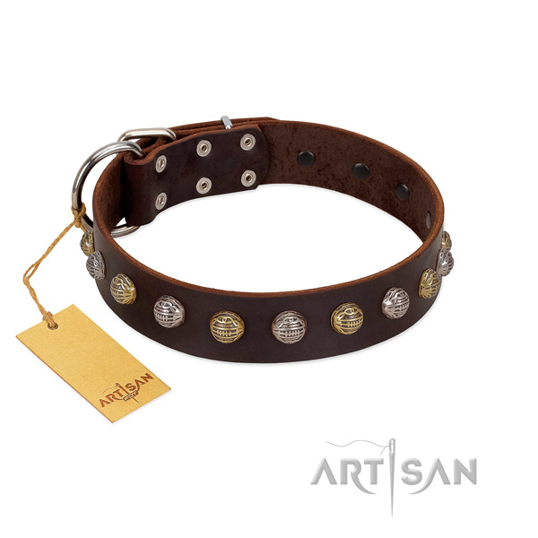 Rust resistant D-ring on full grain natural leather dog collar for walking your pet