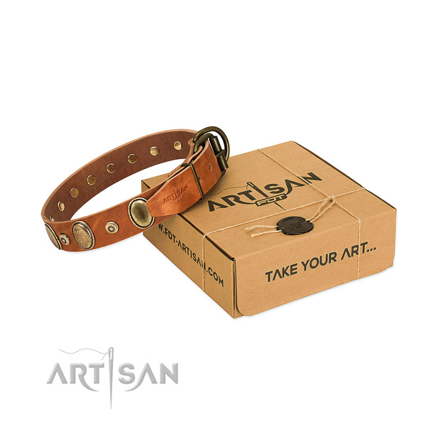 Best quality full grain natural leather collar created for your four-legged friend