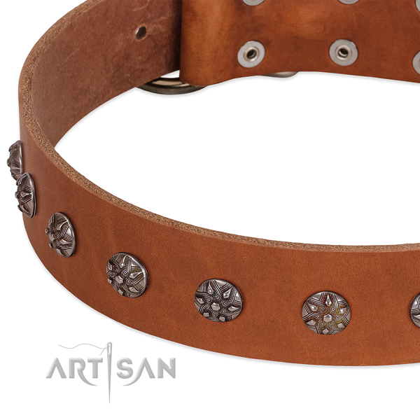 Flexible full grain leather dog collar with decorations for your doggie