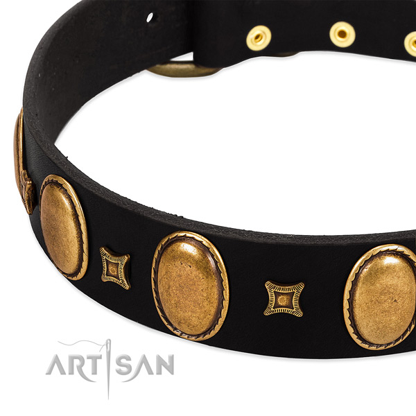 Leather dog collar with decorations for everyday walking