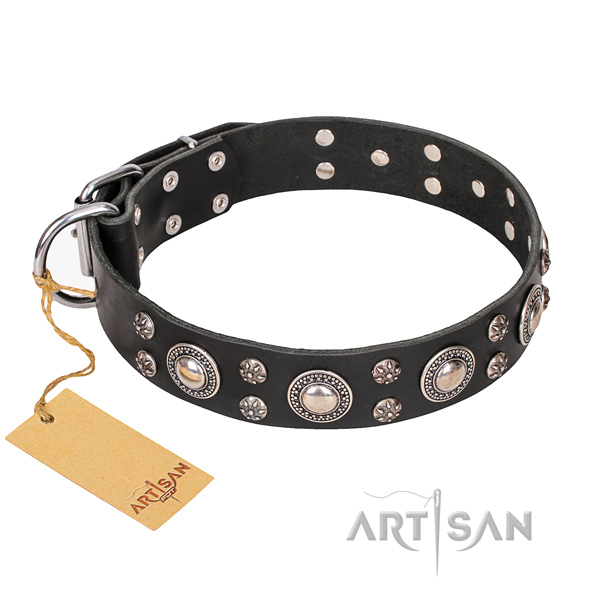 Daily walking dog collar of top notch genuine leather with decorations