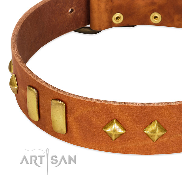 Everyday walking genuine leather dog collar with stylish design studs