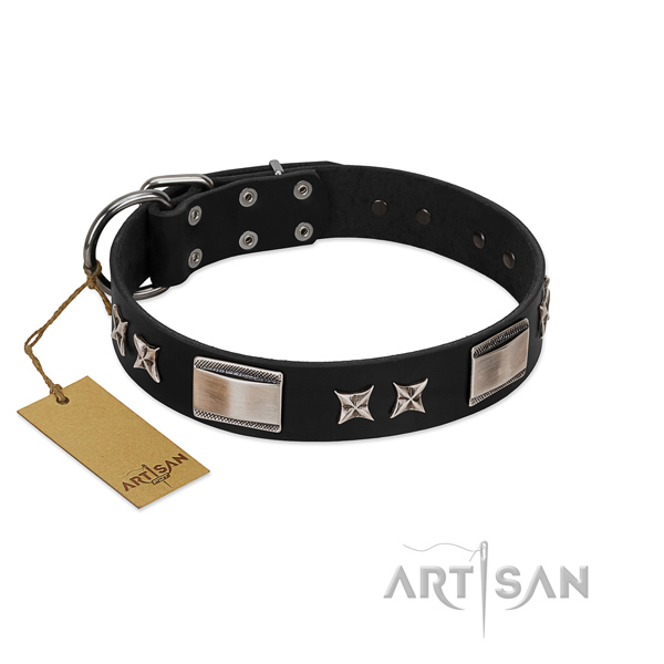 Designer dog collar of genuine leather