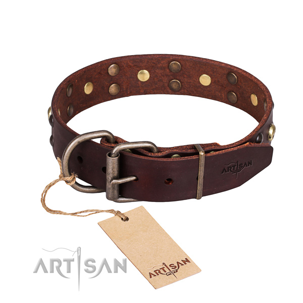Comfy wearing adorned dog collar of reliable leather