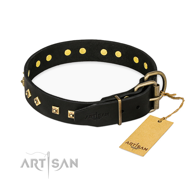 Durable hardware on leather collar for stylish walking your canine