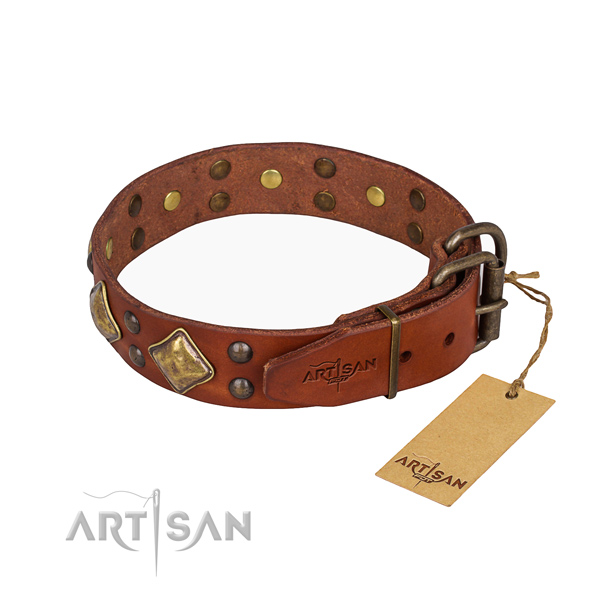 Full grain leather dog collar with unusual corrosion resistant adornments