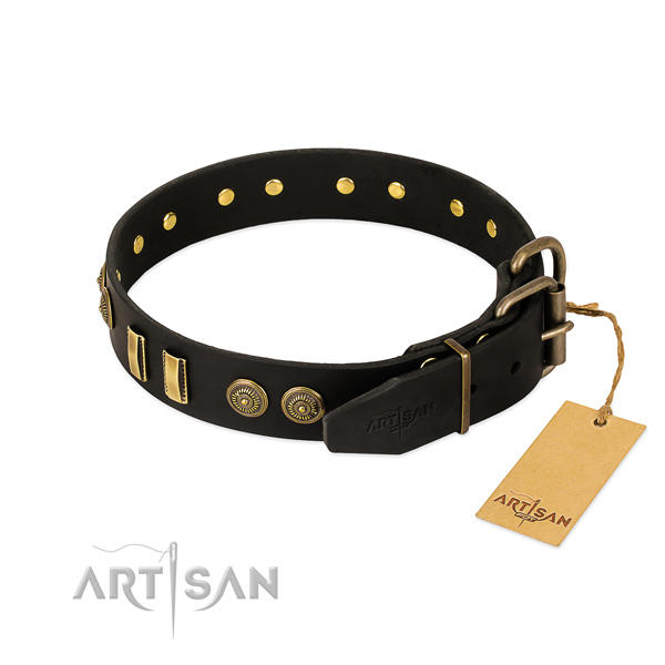 Rust-proof adornments on leather dog collar for your four-legged friend