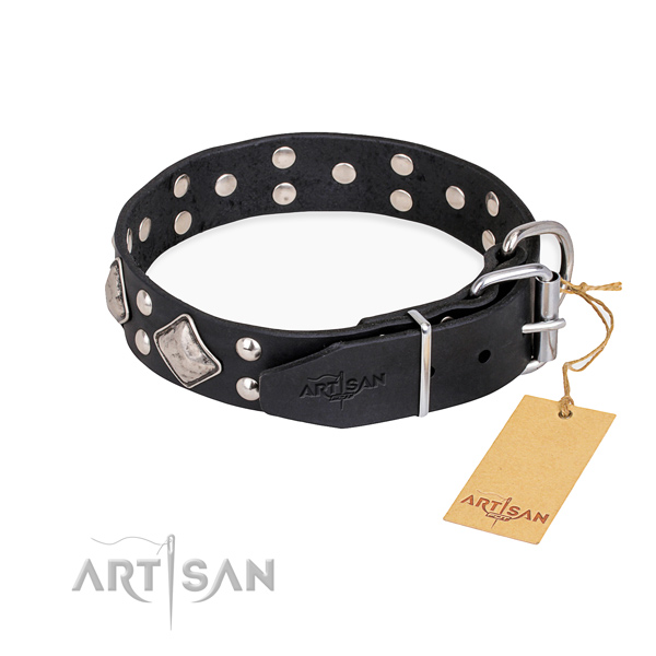 Full grain leather dog collar with fashionable durable embellishments
