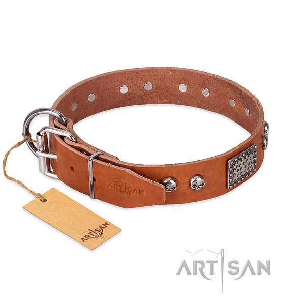 Corrosion resistant embellishments on daily walking dog collar