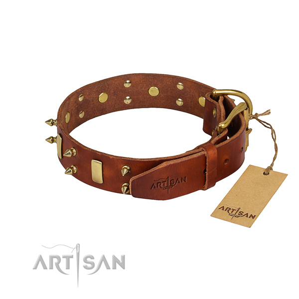 Fancy walking decorated dog collar of best quality leather
