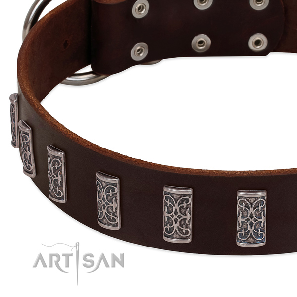 Top notch genuine leather dog collar handmade for your dog