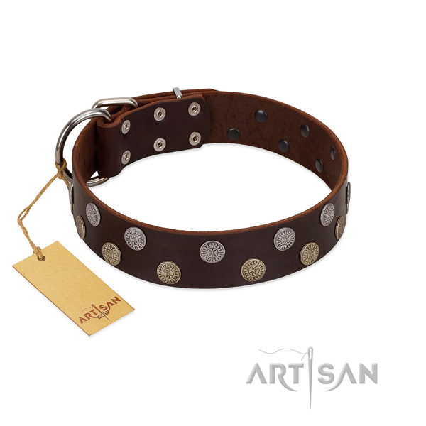 Genuine leather dog collar with exceptional embellishments for your four-legged friend