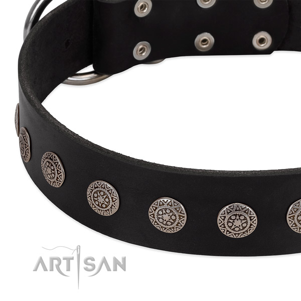 Fine quality dog collar of genuine leather with embellishments