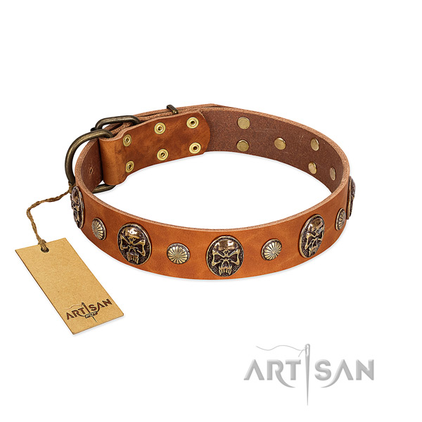 Stylish design leather dog collar for fancy walking