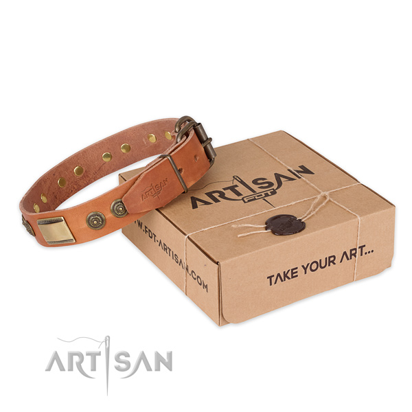 Reliable hardware on leather dog collar for stylish walking