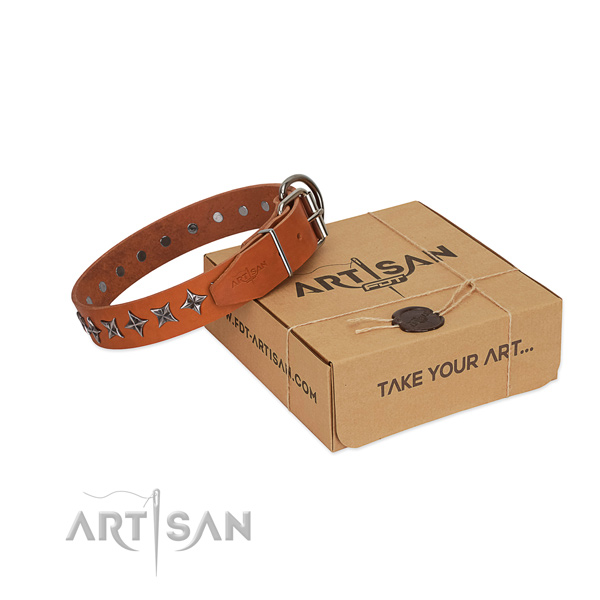 Durable leather dog collar with fashionable embellishments