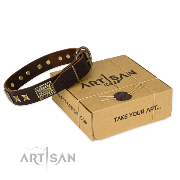 Corrosion proof buckle on natural genuine leather collar for your attractive pet