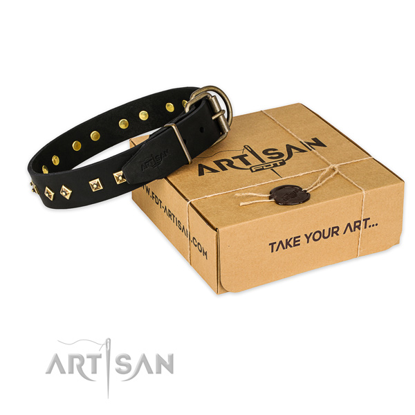 Durable fittings on full grain leather collar for your lovely pet