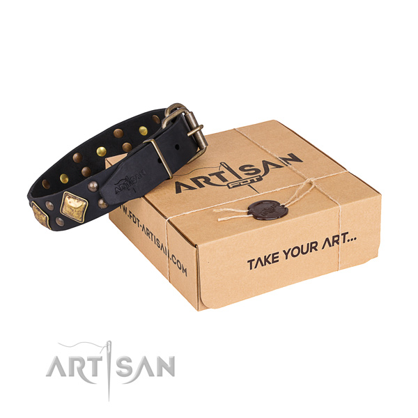 Handy use dog collar with Fashionable rust resistant decorations