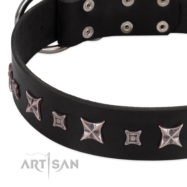 Easy adjustable dog collar of full grain natural leather with embellishments