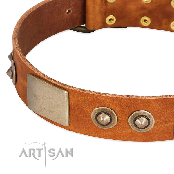 Reliable studs on full grain genuine leather dog collar for your doggie