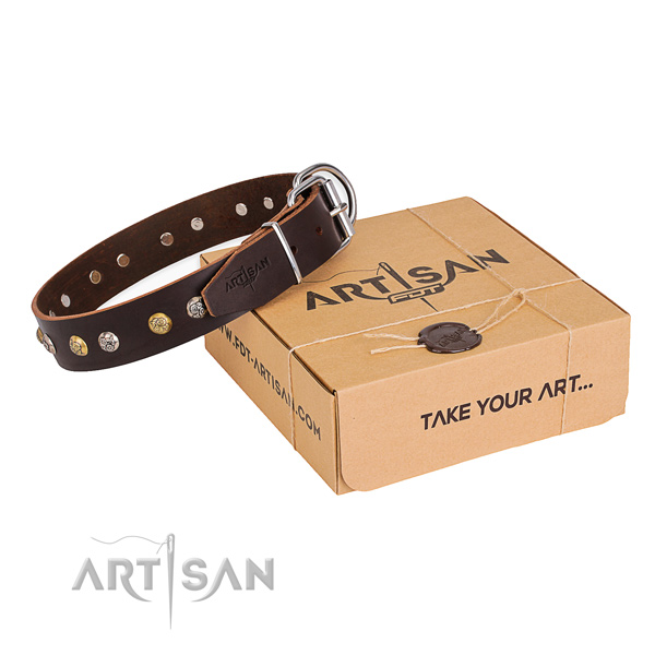 Quality full grain genuine leather dog collar created for daily use