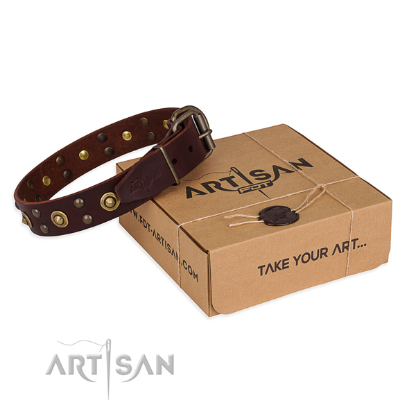 Reliable fittings on full grain genuine leather collar for your stylish pet
