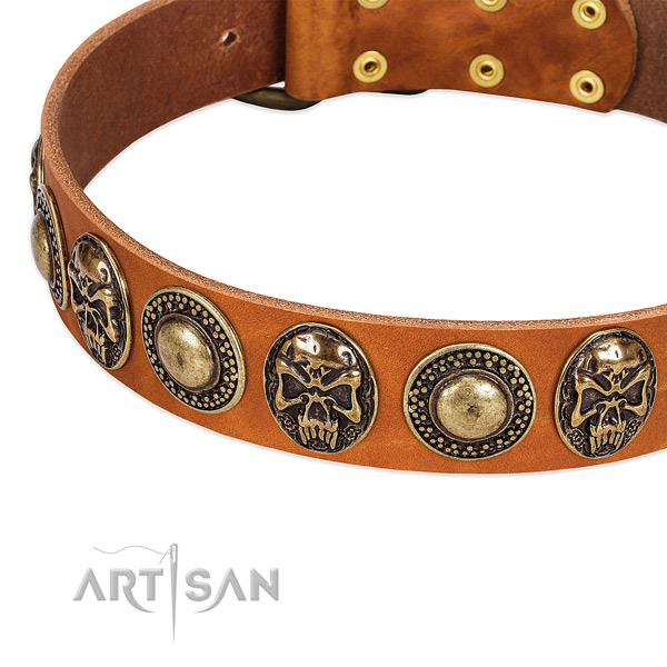 Durable fittings on full grain natural leather dog collar for your four-legged friend