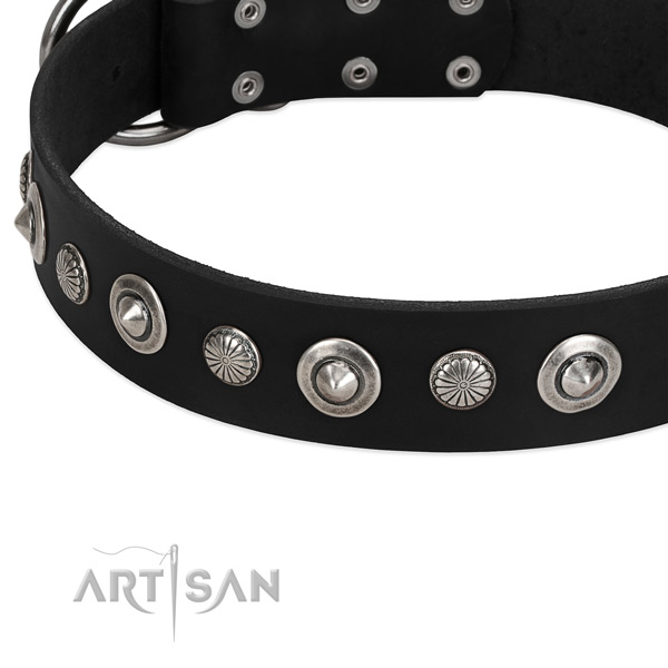 Extraordinary studded dog collar of durable full grain natural leather