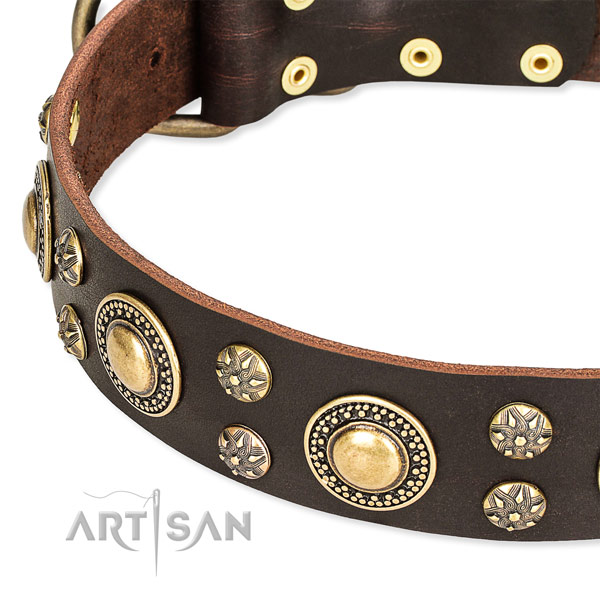 Everyday use embellished dog collar of top notch genuine leather