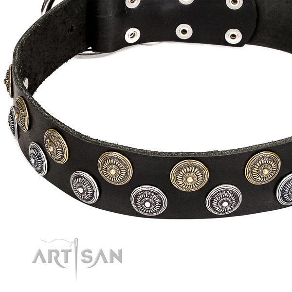 Stylish walking studded dog collar of high quality genuine leather