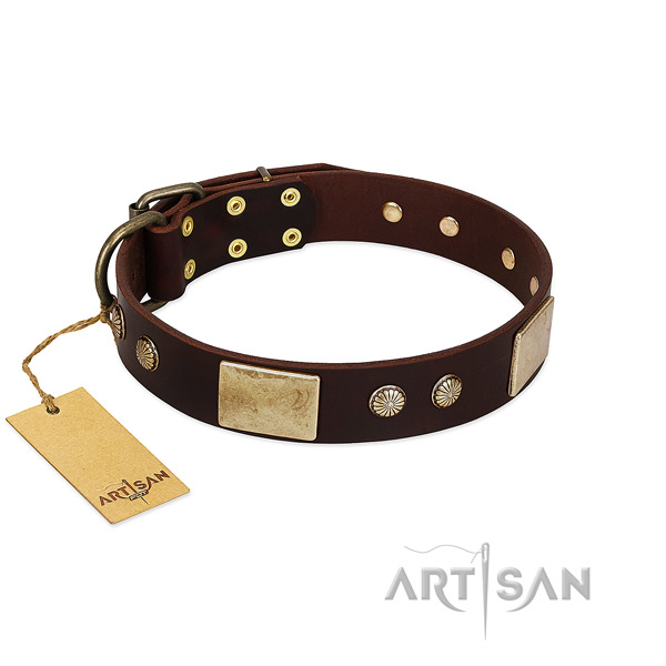 Adjustable genuine leather dog collar for walking your four-legged friend
