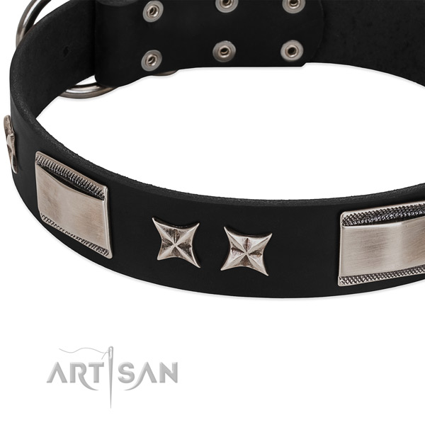 Top notch full grain leather dog collar with rust resistant hardware