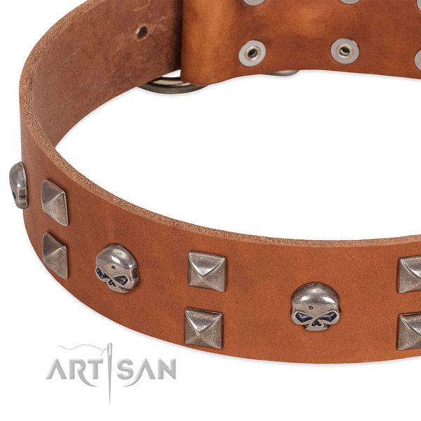 High quality leather dog collar made for your doggie
