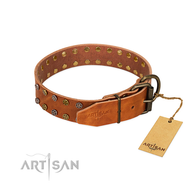 Stylish walking full grain natural leather dog collar with trendy adornments