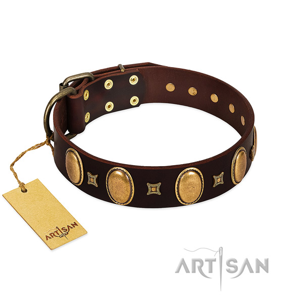 Leather dog collar with unusual embellishments for stylish walking