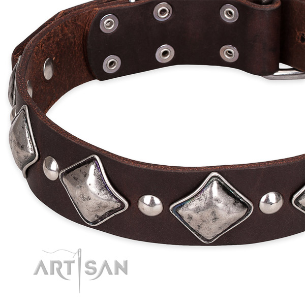 Everyday use studded dog collar of top notch full grain natural leather