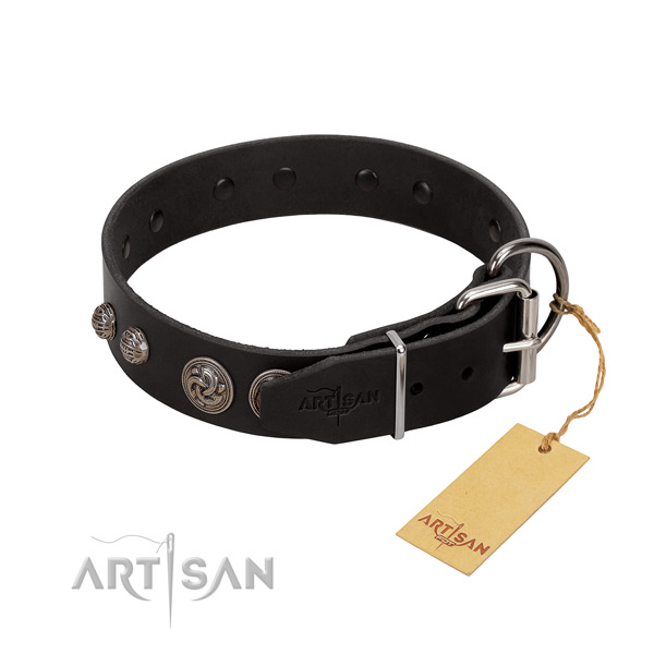 Corrosion proof fittings on leather dog collar for your four-legged friend