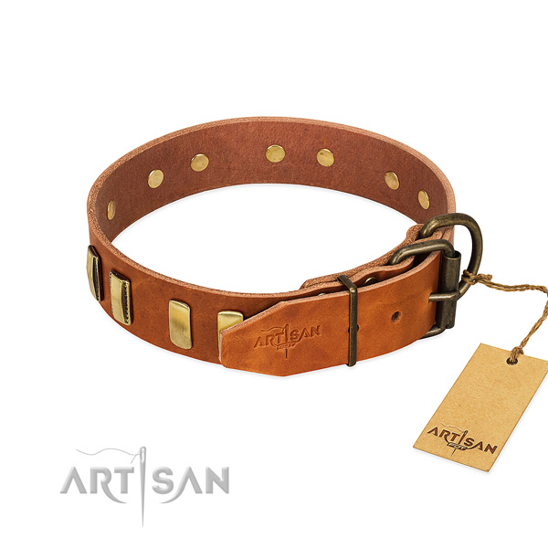 Reliable natural leather dog collar with reliable fittings