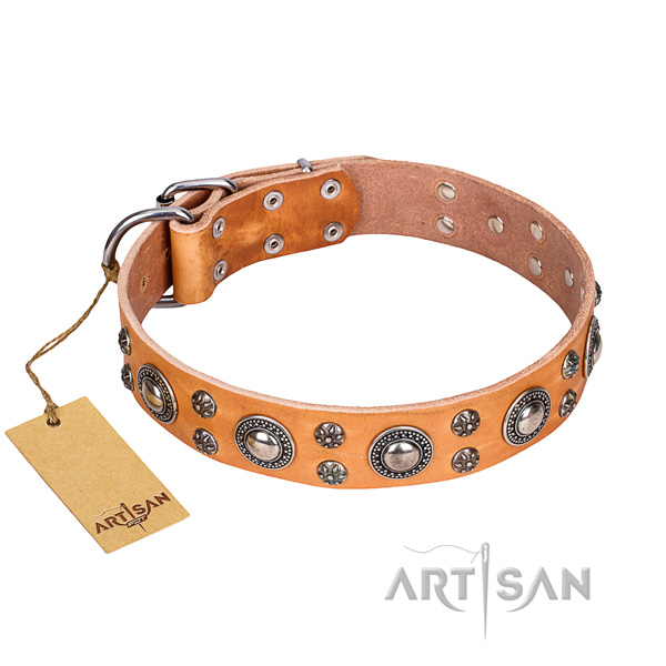 Daily walking dog collar of durable genuine leather with adornments