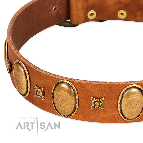 Leather dog collar with rust resistant fittings for comfortable wearing