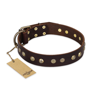"Bronze Sheen" FDT Artisan Leather English Pointer Collar with Brass-Plated Studs "Bronze Sheen" FDT Artisan Leather English Pointer Collar with Brass-Plated Studs
