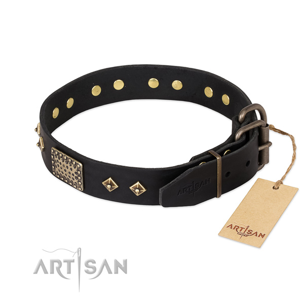 Genuine leather dog collar with reliable hardware and studs