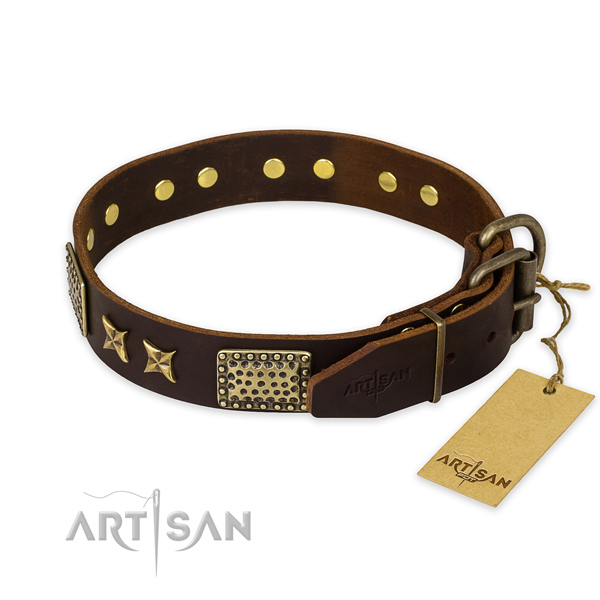 Corrosion proof traditional buckle on full grain leather collar for your stylish pet
